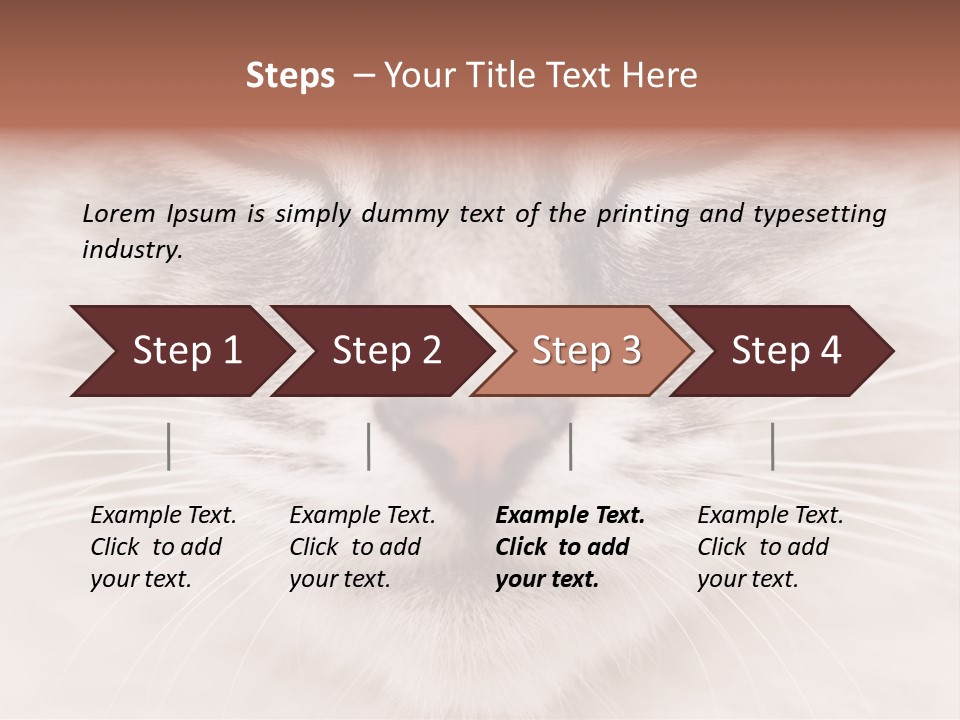 Cat Face Up Close PowerPoint Template