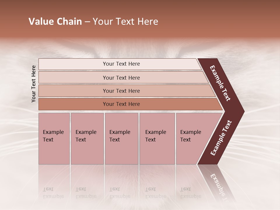 Cat Face Up Close PowerPoint Template