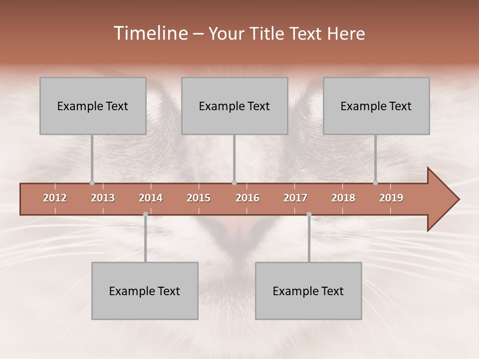 Cat Face Up Close PowerPoint Template