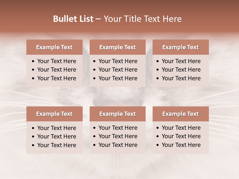 Cat Face Up Close PowerPoint Template