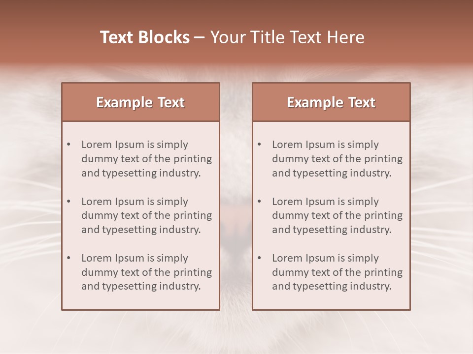 Cat Face Up Close PowerPoint Template