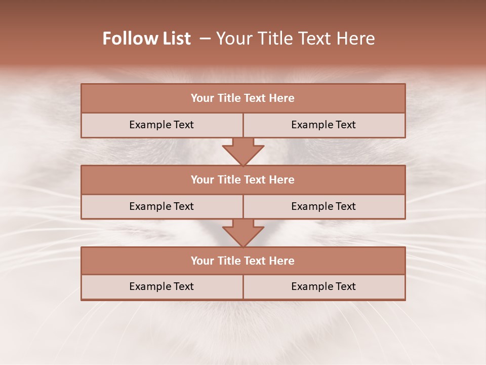 Cat Face Up Close PowerPoint Template