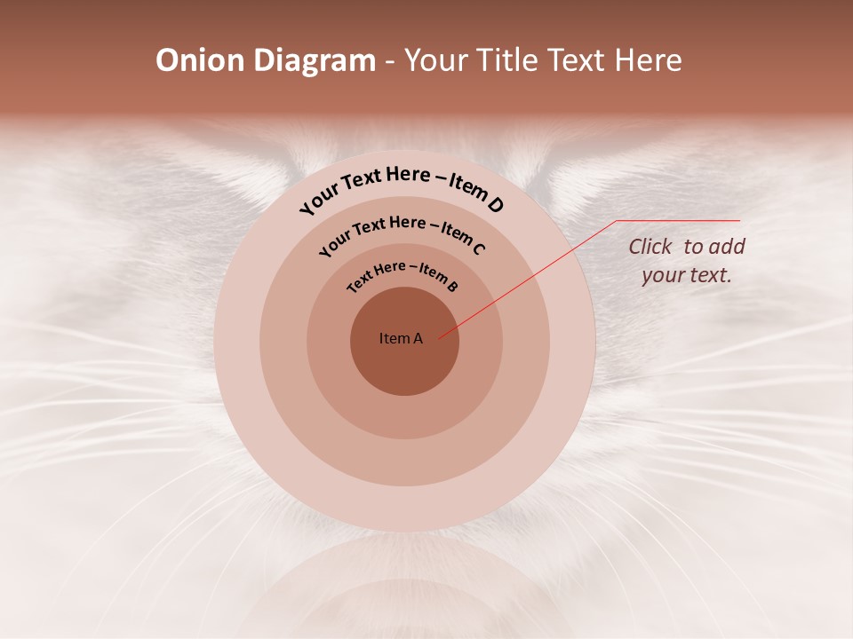 Cat Face Up Close PowerPoint Template
