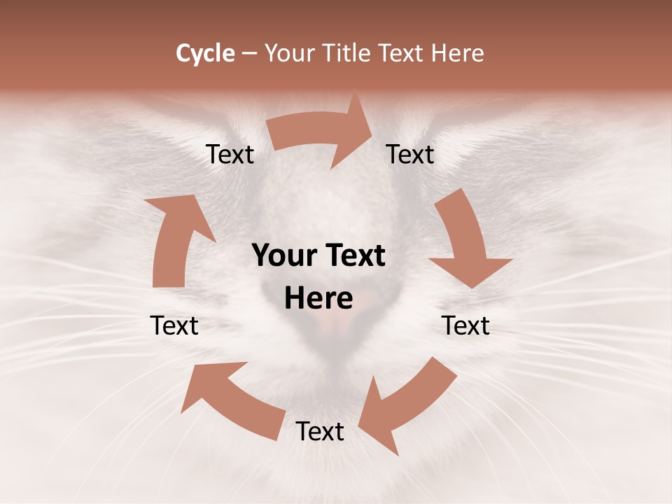 Cat Face Up Close PowerPoint Template