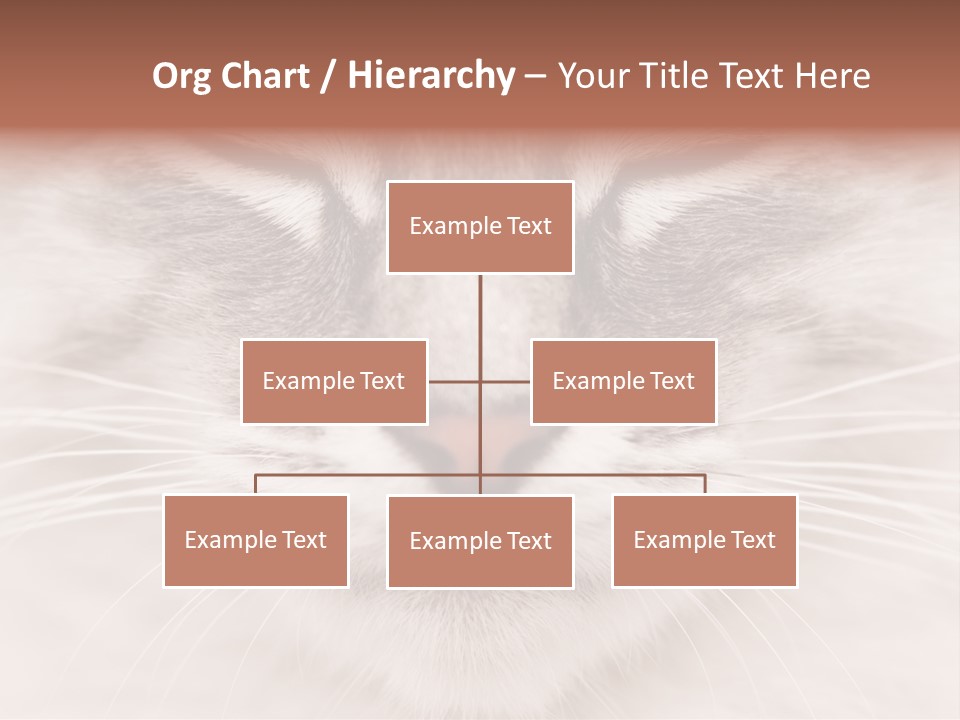 Cat Face Up Close PowerPoint Template