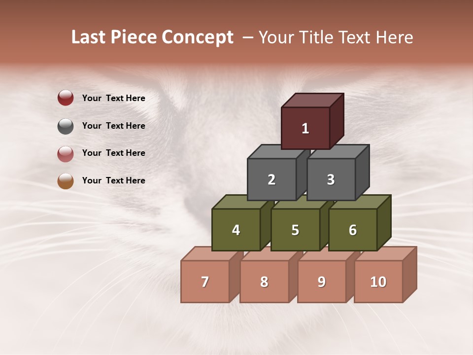 Cat Face Up Close PowerPoint Template