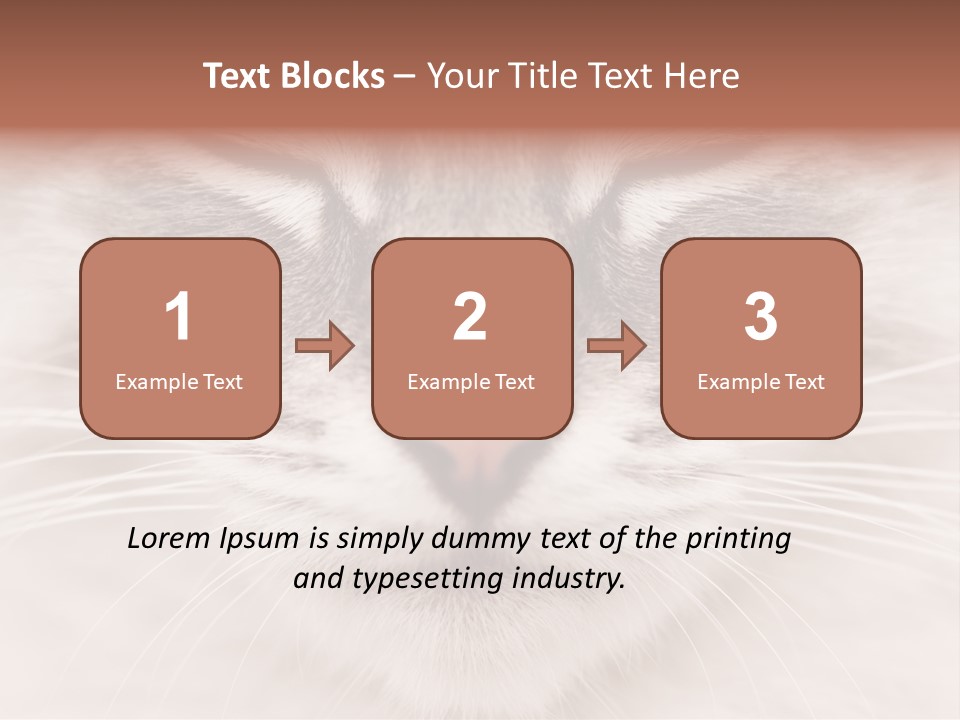 Cat Face Up Close PowerPoint Template