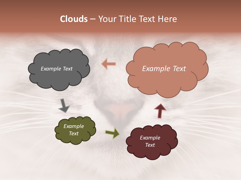 Cat Face Up Close PowerPoint Template