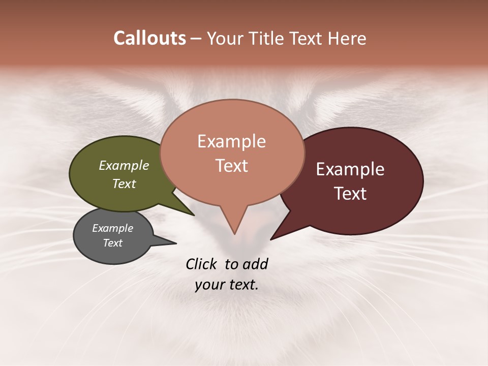 Cat Face Up Close PowerPoint Template