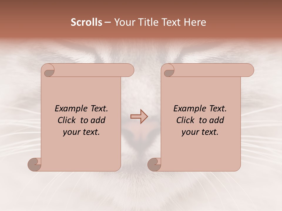 Cat Face Up Close PowerPoint Template