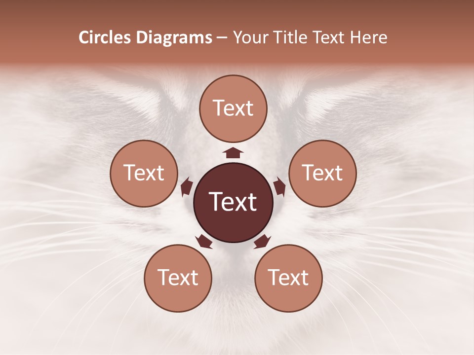 Cat Face Up Close PowerPoint Template