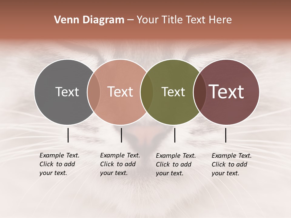 Cat Face Up Close PowerPoint Template