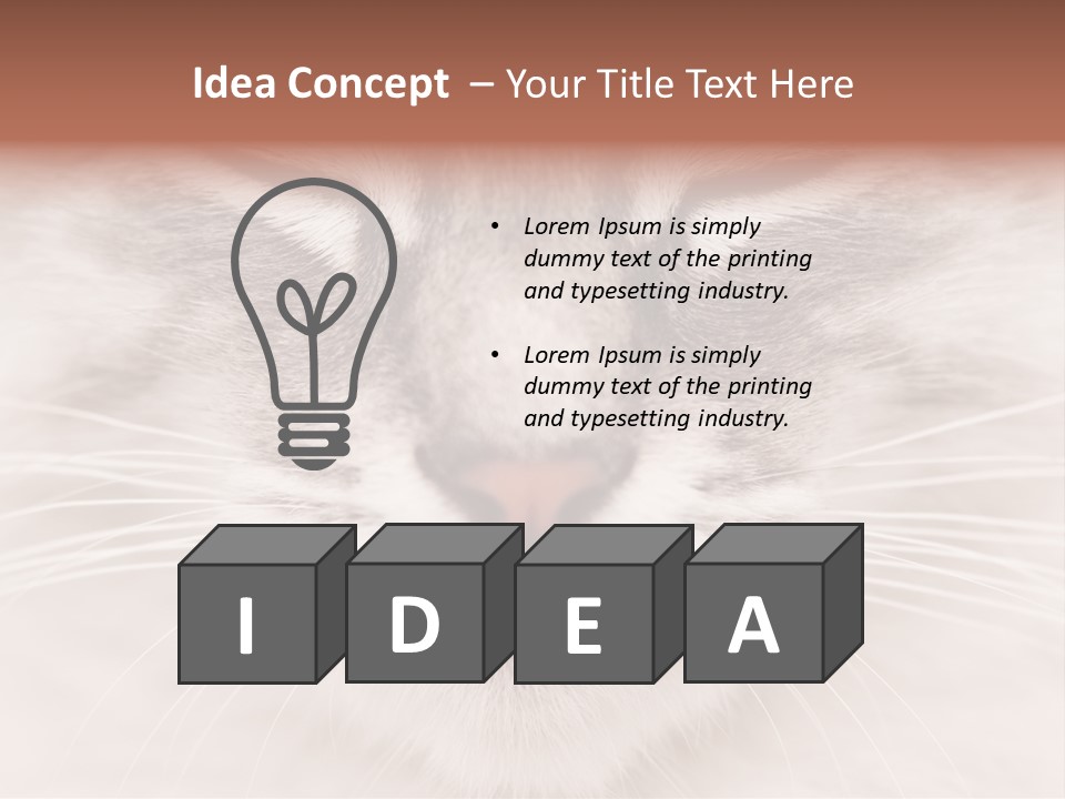Cat Face Up Close PowerPoint Template
