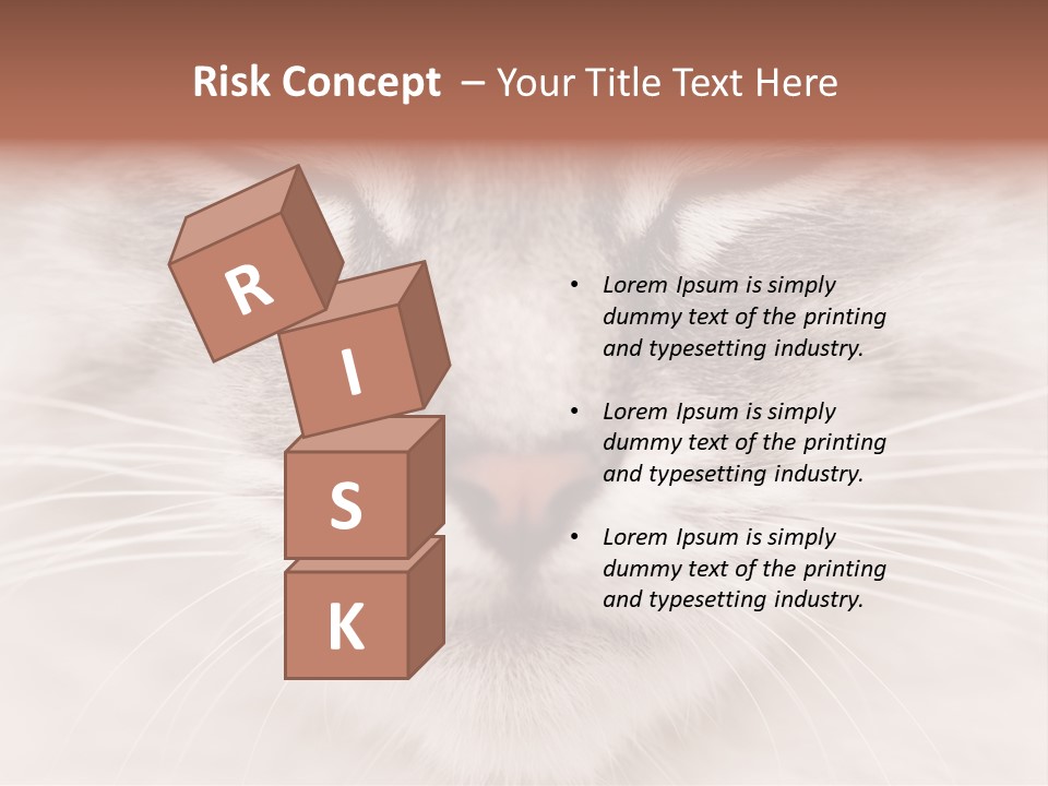 Cat Face Up Close PowerPoint Template