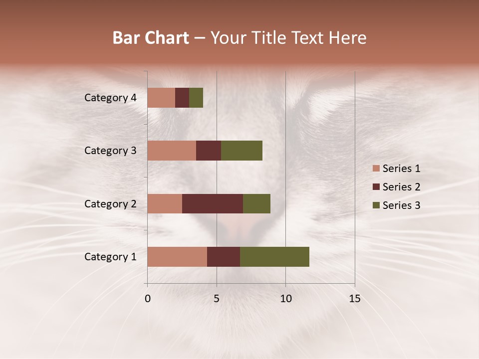 Cat Face Up Close PowerPoint Template