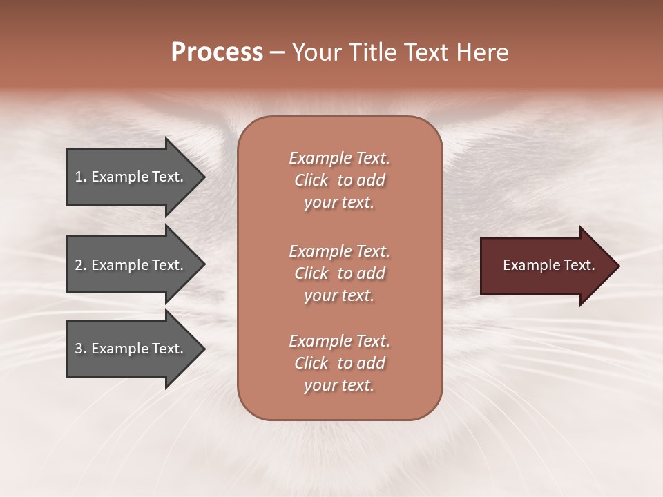 Cat Face Up Close PowerPoint Template