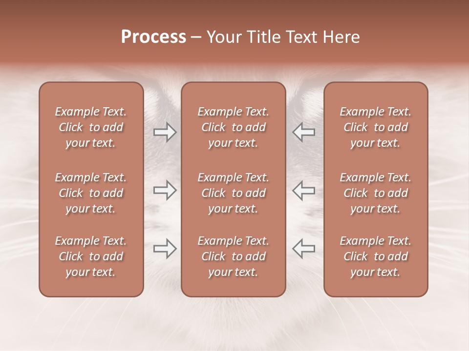 Cat Face Up Close PowerPoint Template