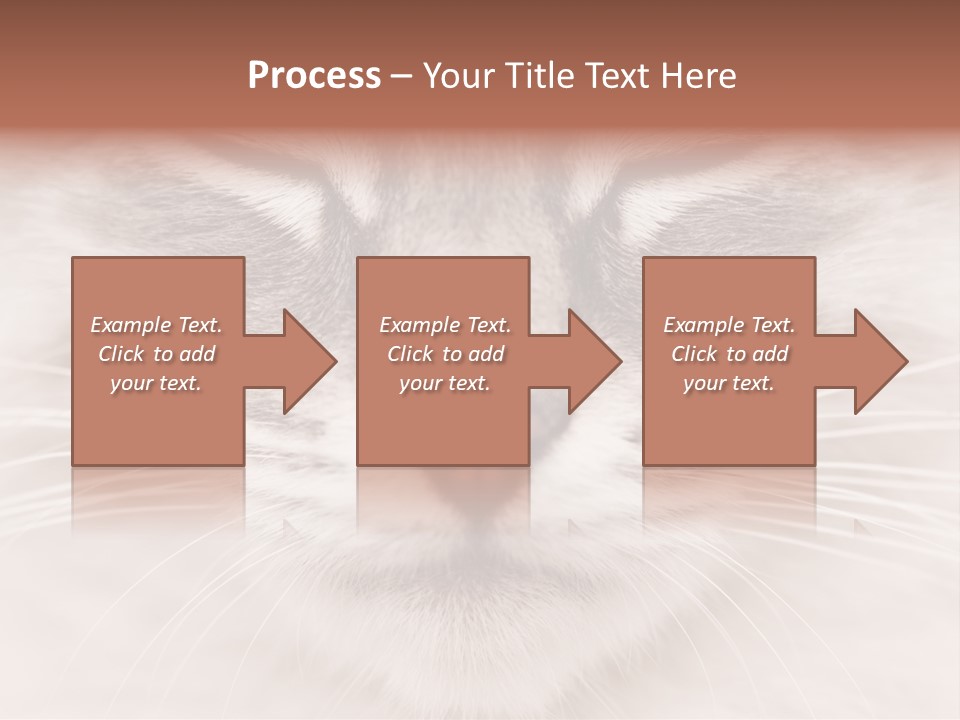 Cat Face Up Close PowerPoint Template