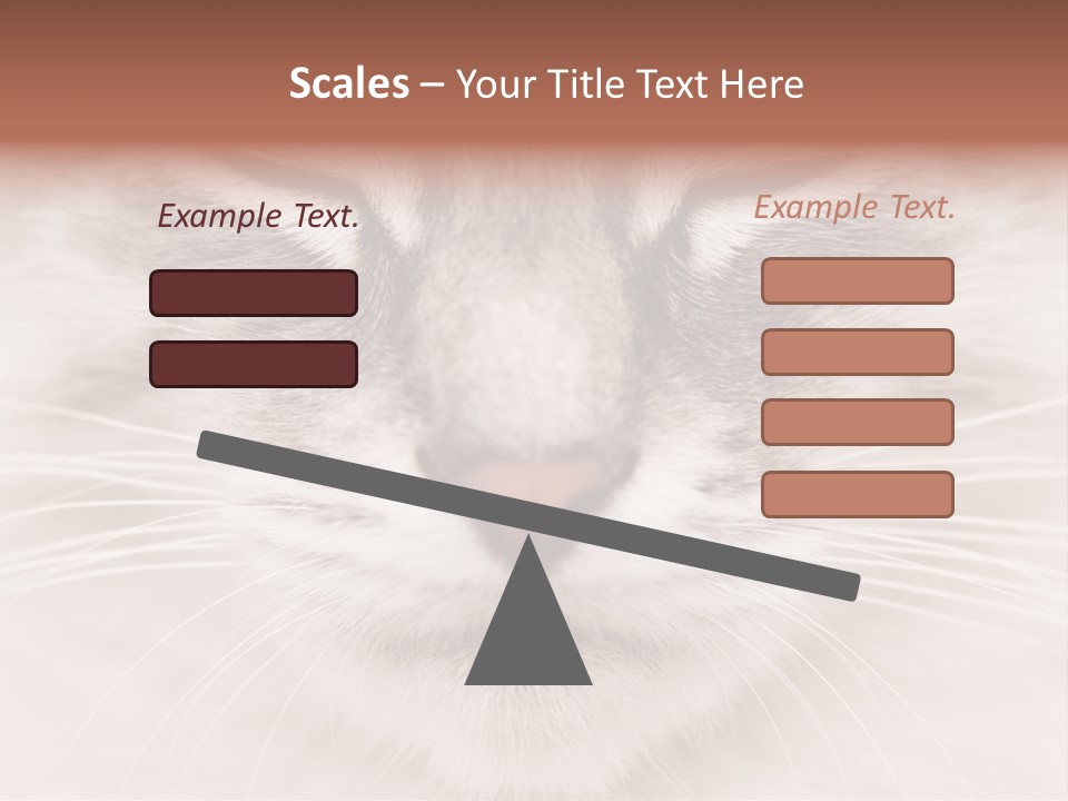 Cat Face Up Close PowerPoint Template