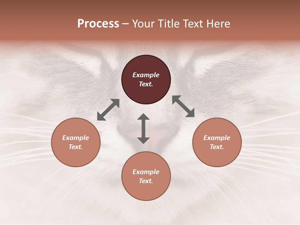 Cat Face Up Close PowerPoint Template