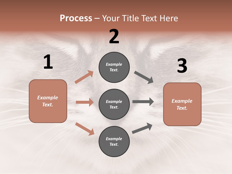 Cat Face Up Close PowerPoint Template