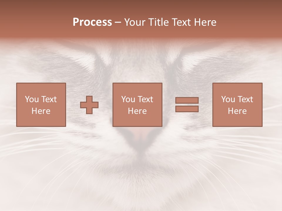 Cat Face Up Close PowerPoint Template