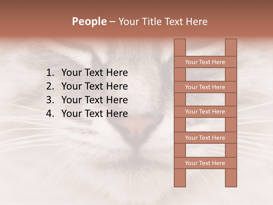 Cat Face Up Close PowerPoint Template
