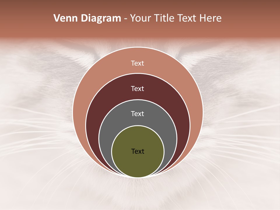 Cat Face Up Close PowerPoint Template