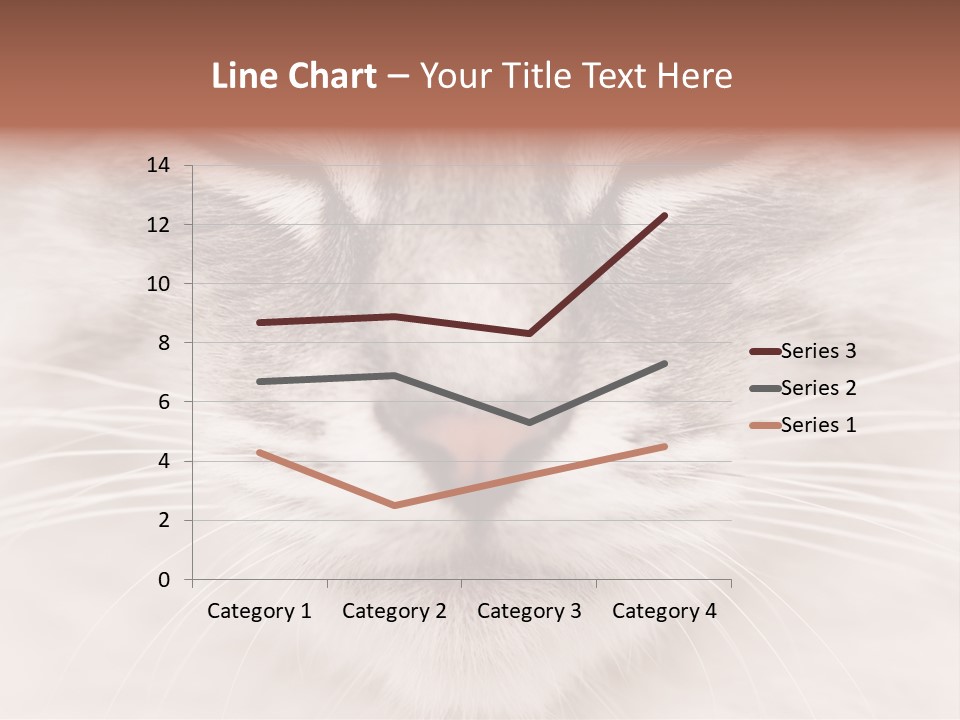 Cat Face Up Close PowerPoint Template