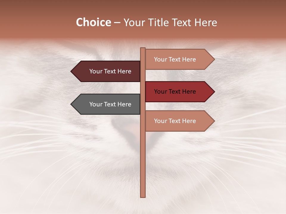 Cat Face Up Close PowerPoint Template