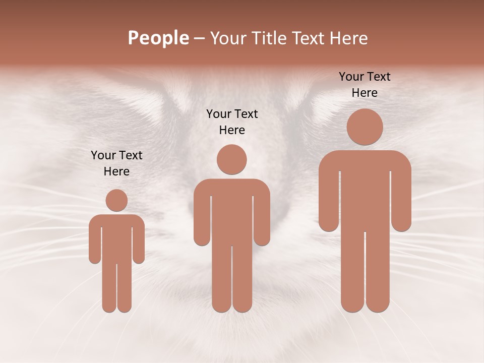 Cat Face Up Close PowerPoint Template