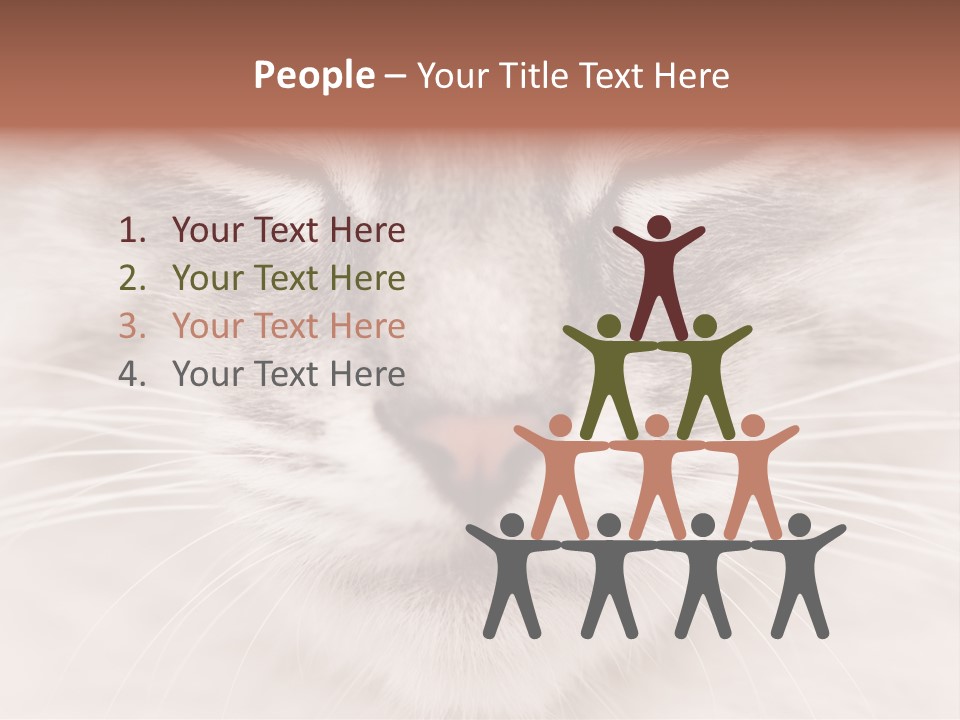 Cat Face Up Close PowerPoint Template