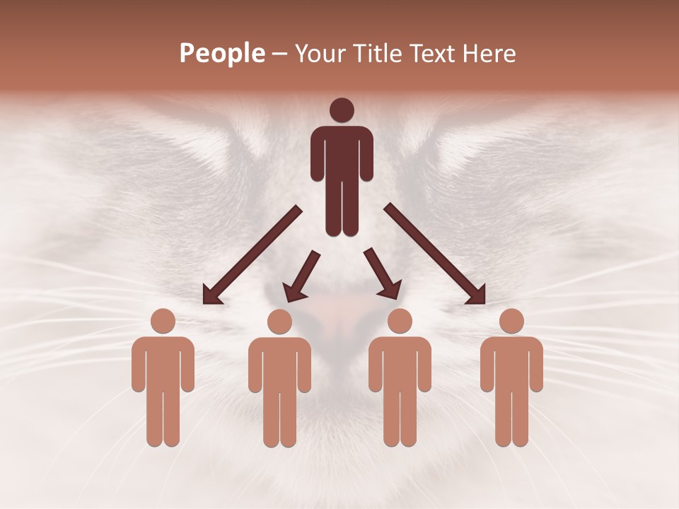 Cat Face Up Close PowerPoint Template