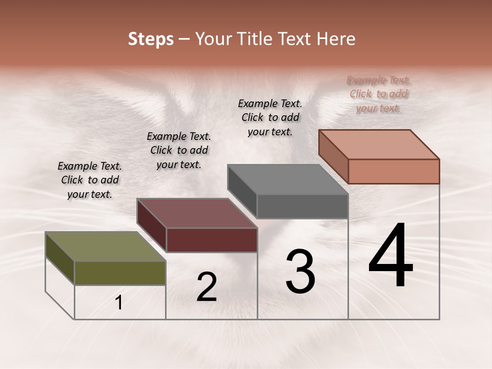 Cat Face Up Close PowerPoint Template