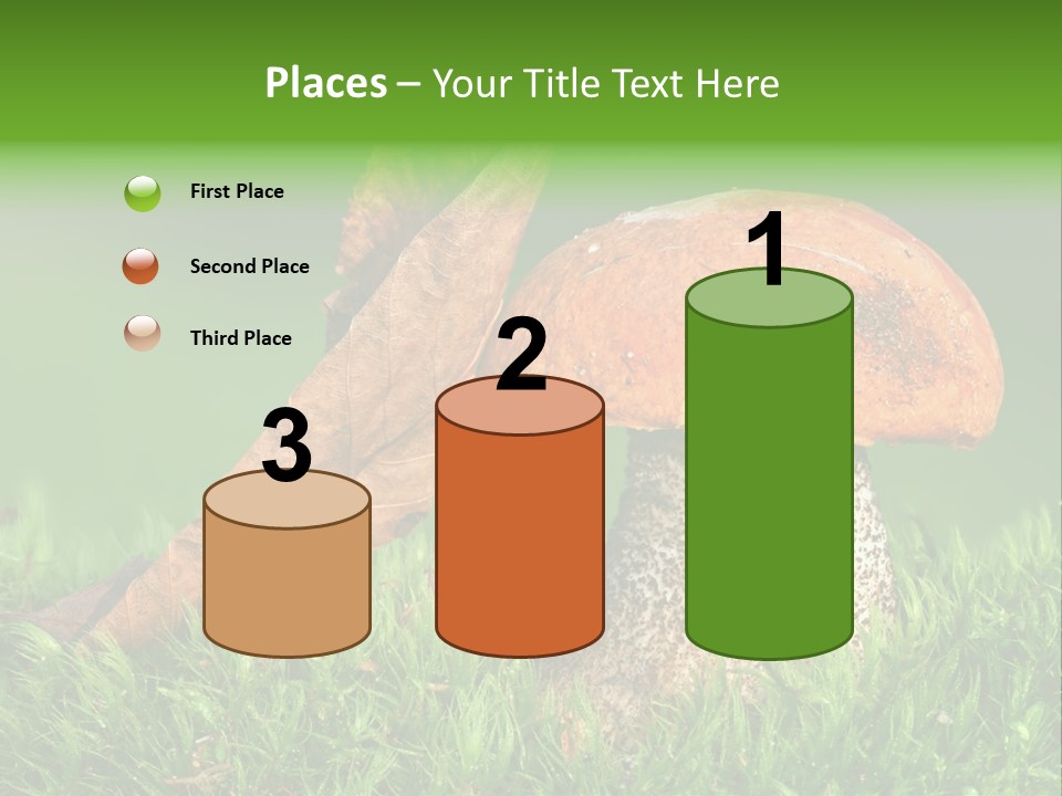 Mushrooms PowerPoint Template
