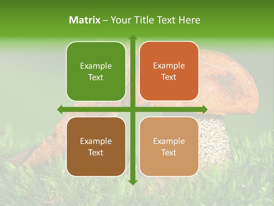 Mushrooms PowerPoint Template