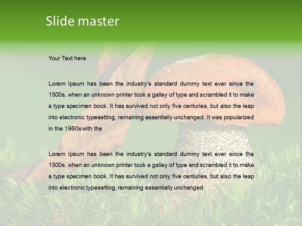 Mushrooms PowerPoint Template