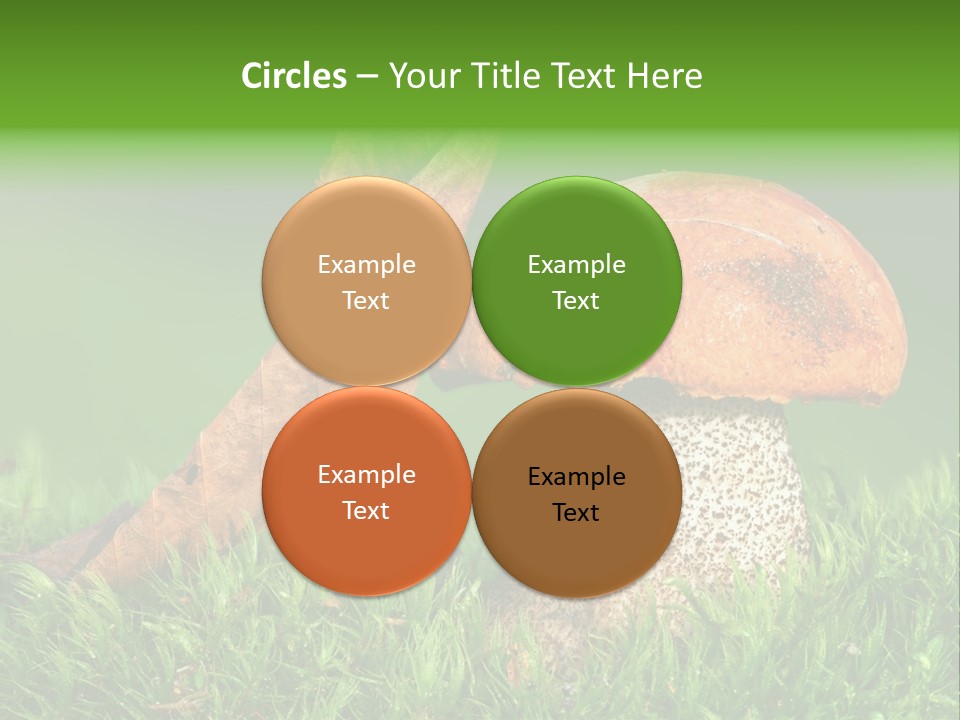 Mushrooms PowerPoint Template