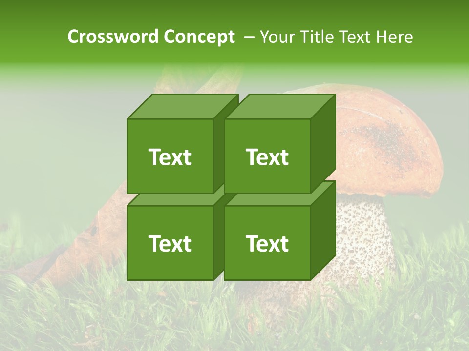 Mushrooms PowerPoint Template