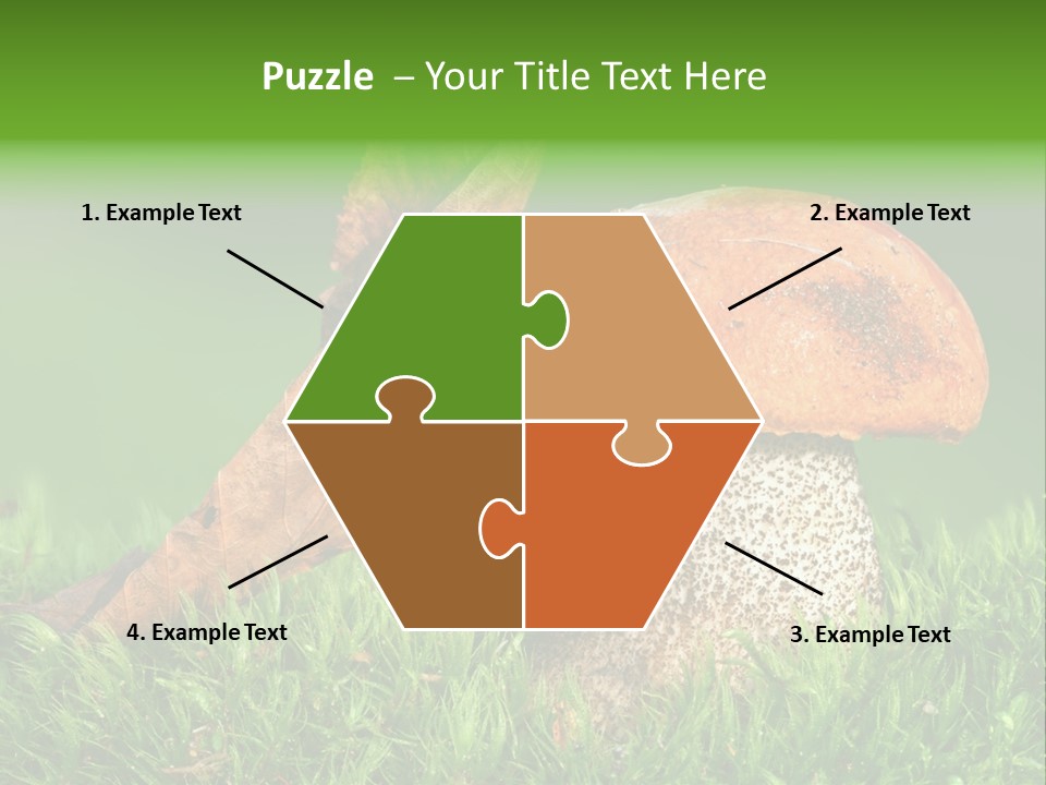 Mushrooms PowerPoint Template