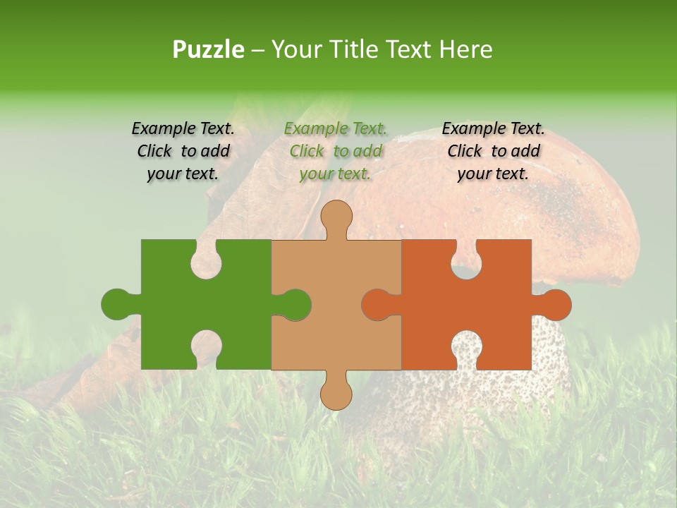 Mushrooms PowerPoint Template