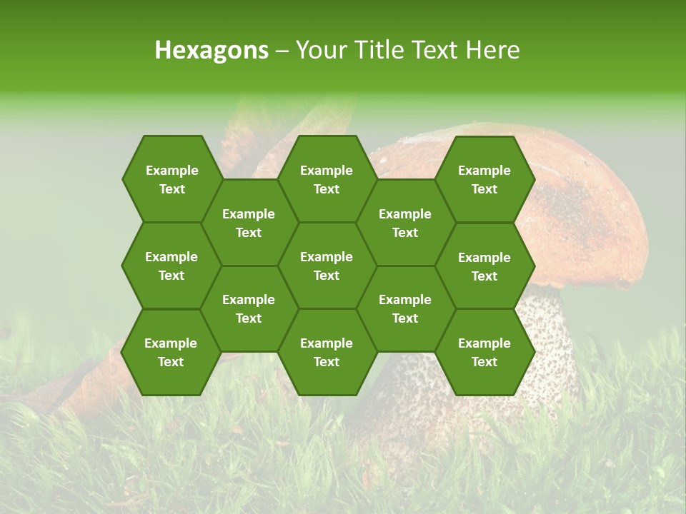 Mushrooms PowerPoint Template