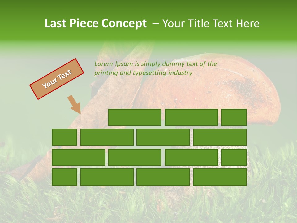 Mushrooms PowerPoint Template