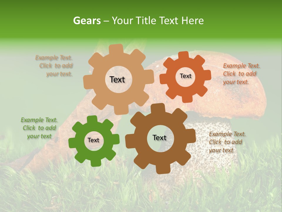 Mushrooms PowerPoint Template