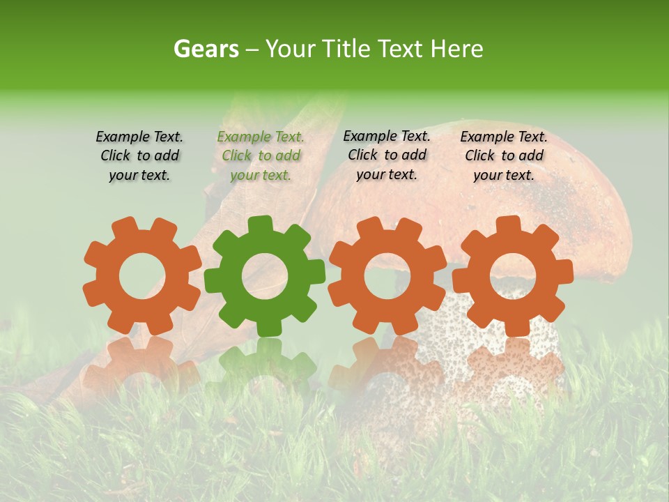 Mushrooms PowerPoint Template