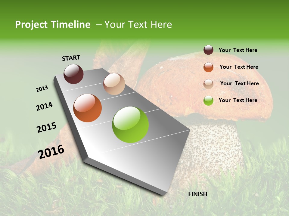 Mushrooms PowerPoint Template