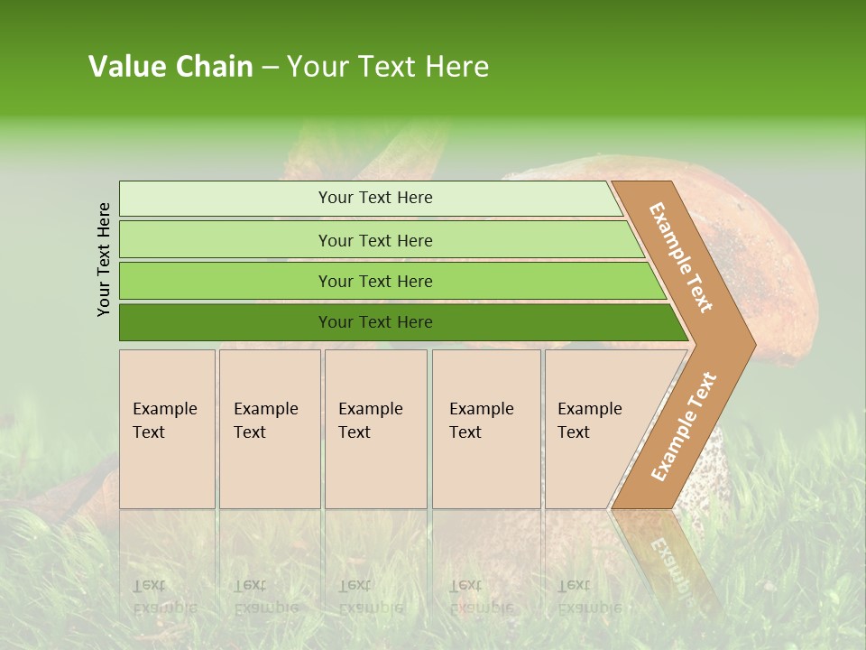 Mushrooms PowerPoint Template