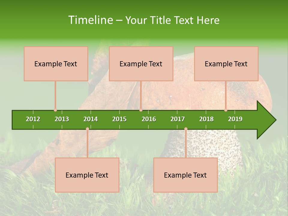 Mushrooms PowerPoint Template