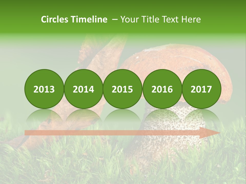 Mushrooms PowerPoint Template