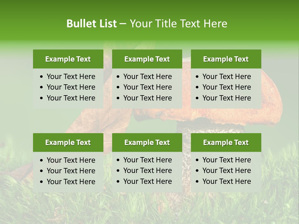 Mushrooms PowerPoint Template